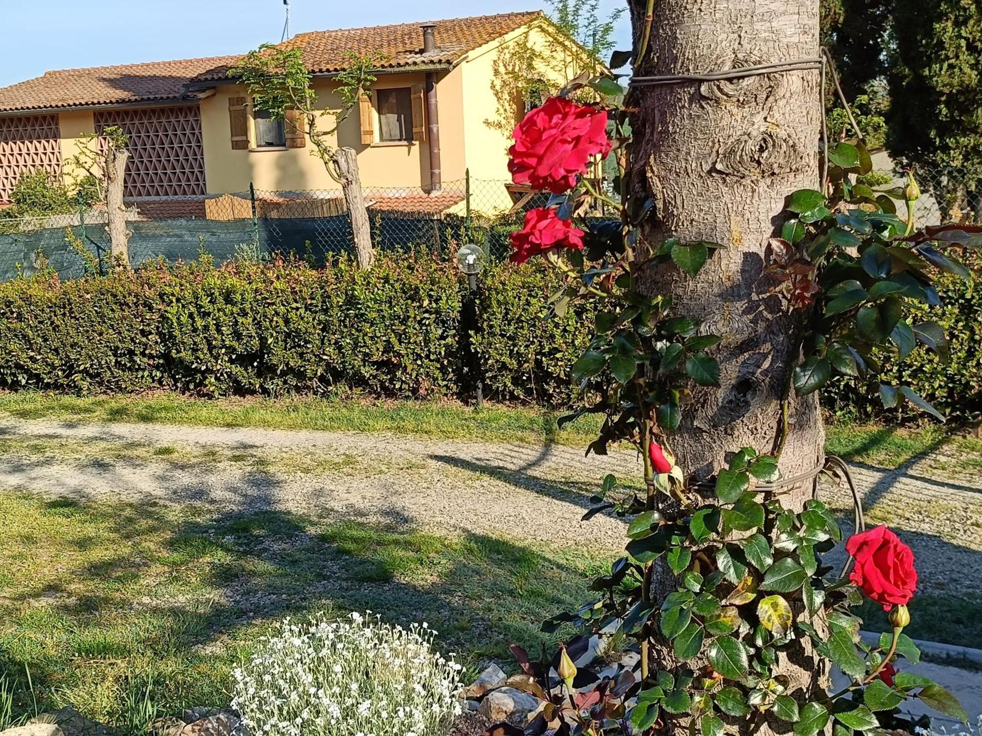 Casa Orneto Βίλα Poggibonsi Εξωτερικό φωτογραφία