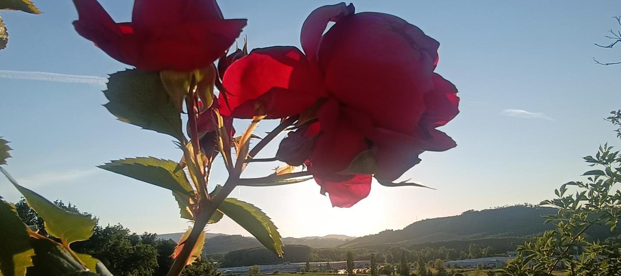 Casa Orneto Βίλα Poggibonsi Εξωτερικό φωτογραφία