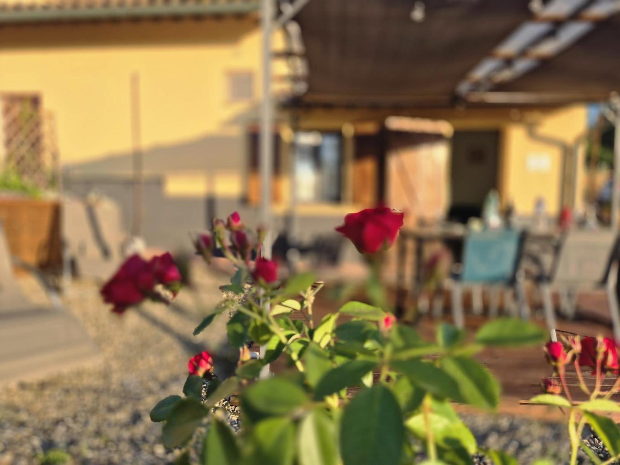 Casa Orneto Βίλα Poggibonsi Εξωτερικό φωτογραφία